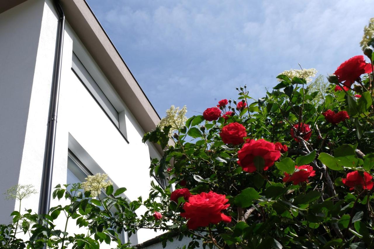 Apartment Le Rose Di Marianne - Ovest Vahrn Eksteriør bilde